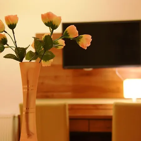 Zielone Wzgorze Boleslawow Stronie Śląskie