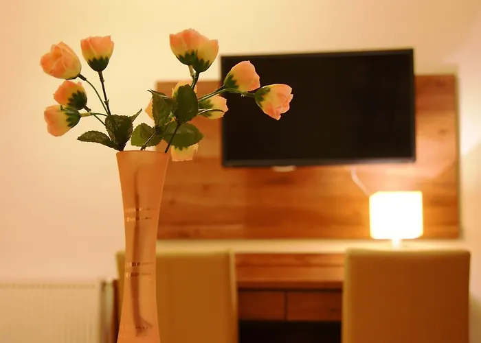 Zielone Wzgorze Boleslawow Stronie Śląskie