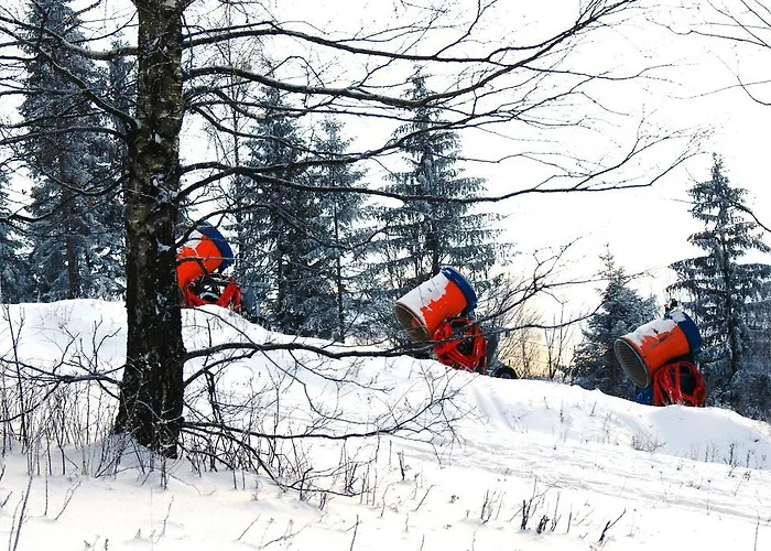 Hotel Zielone Wzgorze Boleslawow